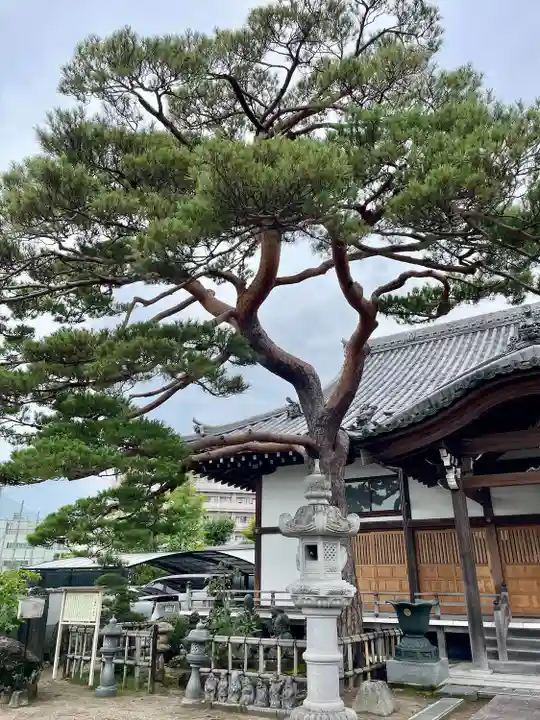 大法寺(宮城県)
