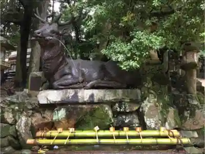 春日大社の手水舎