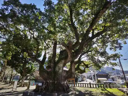土肥神社の自然