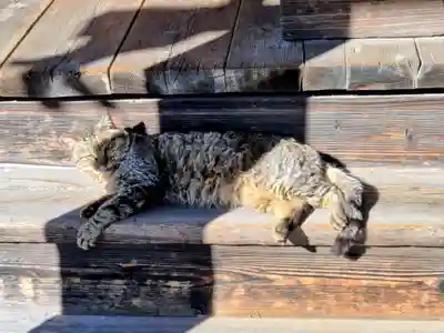 六月八幡神社(東京都)