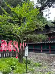 北口本宮冨士浅間神社(山梨県)