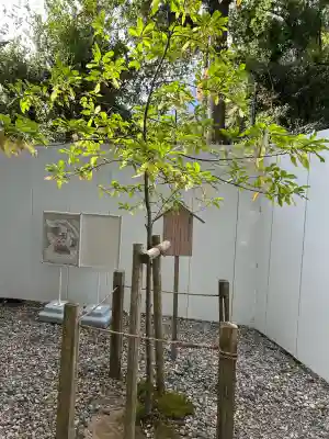 猿田彦神社(三重県)