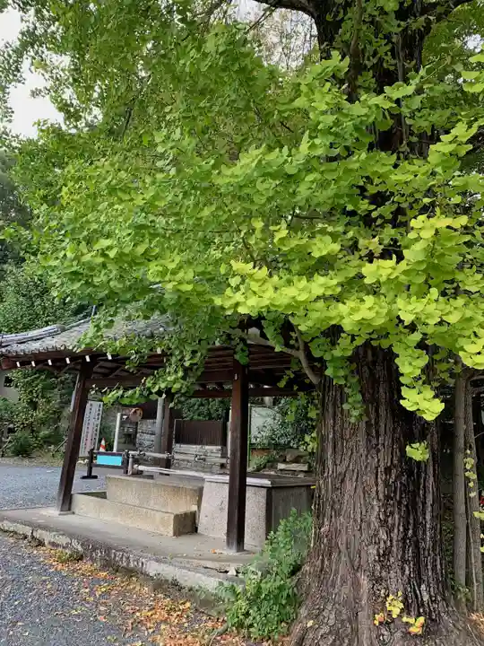 東本願寺岡崎別院のその他建物