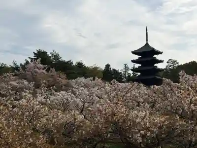 仁和寺の{uncategorized: "未分類", other: "その他", undefined: "問題あり", building: "その他建物", grave: "お墓", sacred_gate: "鳥居", guardian: "狛犬", statue: "像", buddha: "仏像", history: "歴史", nature: "自然", garden: "庭園", animal: "動物", pagoda: "塔", temizu: "手水舎", mountain_gate: "山門・神門", sanctuary: "本殿・本堂", subordinate: "末社・摂社", art: "芸術", scenery: "景色", jizo: "地蔵", ema: "絵馬", goshuin: "御朱印", omikuji: "おみくじ", items: "授与品その他", amulet: "お守り", goshuincho: "御朱印帳", eats: "食事", festival: "お祭り", votive_dance: "神楽", shichigosan: "七五三参", wedding: "結婚式", experience: "体験その他", initially: "初詣", around: "周辺", anti_infection: "感染症対策"}