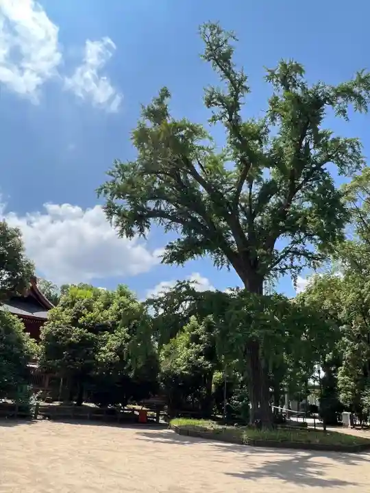飯香岡八幡宮(千葉県)