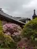安養院 (田代寺)(神奈川県)