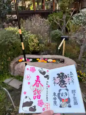 一乗寺の{uncategorized: "未分類", other: "その他", undefined: "問題あり", building: "その他建物", grave: "お墓", sacred_gate: "鳥居", guardian: "狛犬", statue: "像", buddha: "仏像", history: "歴史", nature: "自然", garden: "庭園", animal: "動物", pagoda: "塔", temizu: "手水舎", mountain_gate: "山門・神門", sanctuary: "本殿・本堂", subordinate: "末社・摂社", art: "芸術", scenery: "景色", jizo: "地蔵", ema: "絵馬", goshuin: "御朱印", omikuji: "おみくじ", items: "授与品その他", amulet: "お守り", goshuincho: "御朱印帳", eats: "食事", festival: "お祭り", votive_dance: "神楽", shichigosan: "七五三参", wedding: "結婚式", experience: "体験その他", initially: "初詣", around: "周辺", anti_infection: "感染症対策"}