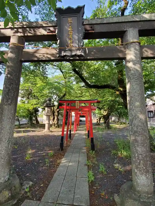 狐ヶ森稲荷神社の鳥居