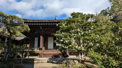 仁和寺(京都府)