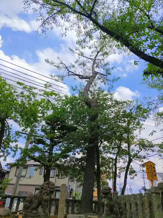 濱神明社の自然
