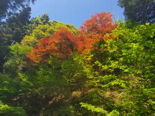 名草厳島神社の景色