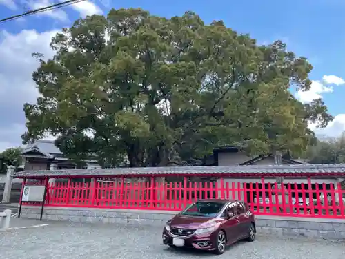 五所八幡宮のその他建物