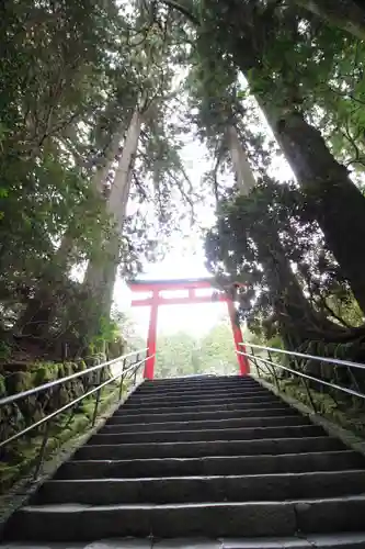 箱根神社の鳥居