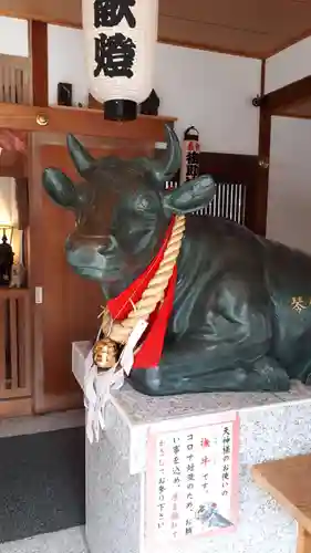 琴似神社の狛犬