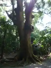 神服織機殿神社(皇大神宮所管社)の自然