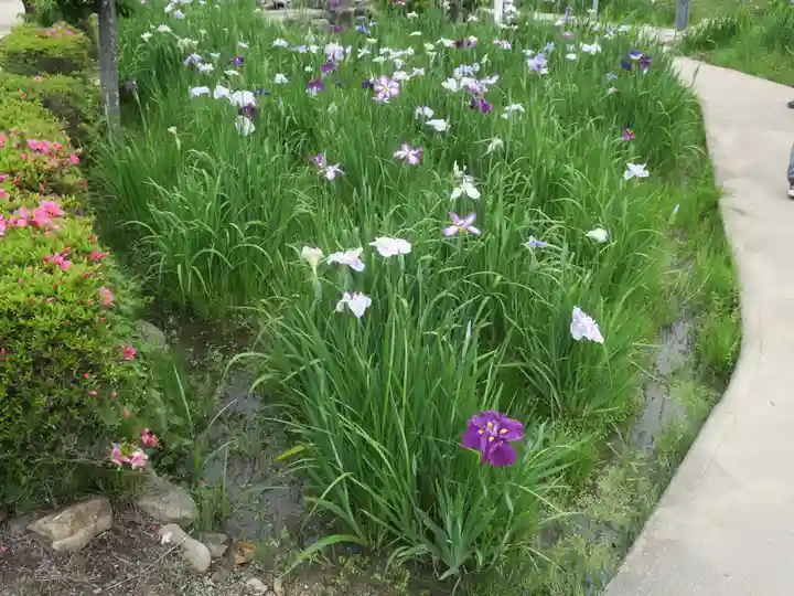 知立神社の自然