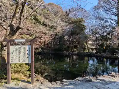 富士山本宮浅間大社(静岡県)