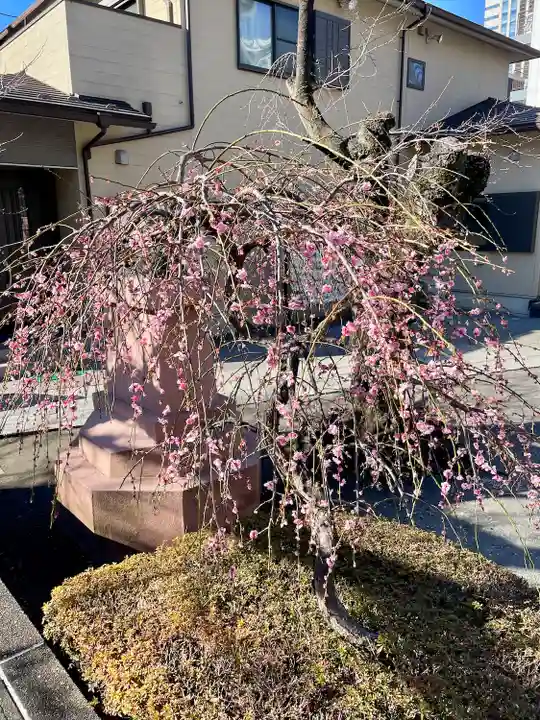 木場 洲﨑神社(東京都)