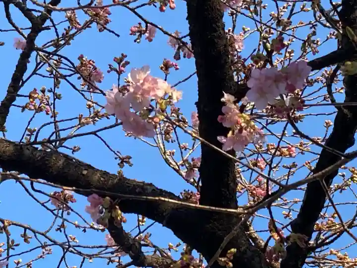鏡神社の{uncategorized: "未分類", other: "その他", undefined: "問題あり", building: "その他建物", grave: "お墓", sacred_gate: "鳥居", guardian: "狛犬", statue: "像", buddha: "仏像", history: "歴史", nature: "自然", garden: "庭園", animal: "動物", pagoda: "塔", temizu: "手水舎", mountain_gate: "山門・神門", sanctuary: "本殿・本堂", subordinate: "末社・摂社", art: "芸術", scenery: "景色", jizo: "地蔵", ema: "絵馬", goshuin: "御朱印", omikuji: "おみくじ", items: "授与品その他", amulet: "お守り", goshuincho: "御朱印帳", eats: "食事", festival: "お祭り", votive_dance: "神楽", shichigosan: "七五三参", wedding: "結婚式", experience: "体験その他", initially: "初詣", around: "周辺", anti_infection: "感染症対策"}