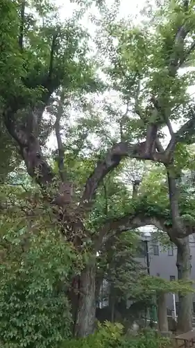 本郷氷川神社(東京都)
