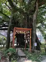 野島神社の絵馬
