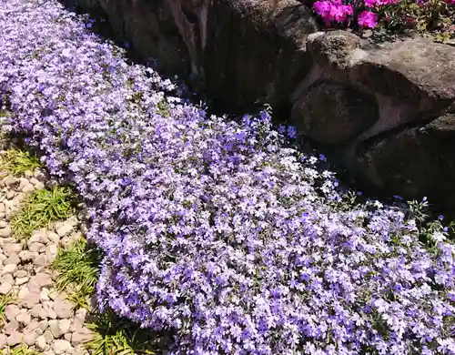 寿量山　速成寺の庭園