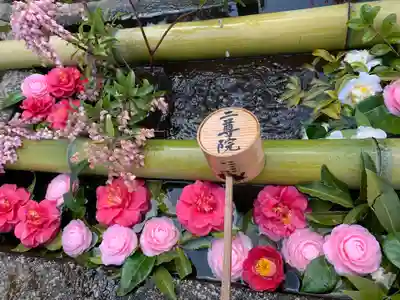 二尊院の手水舎