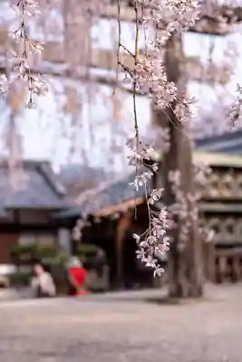 大石神社(京都府)