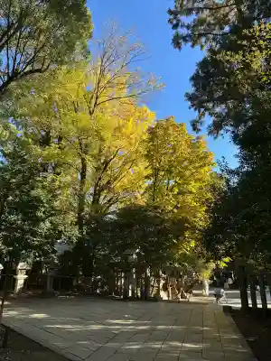 北野天満宮(京都府)
