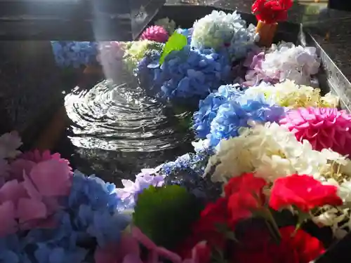 新琴似神社の手水舎