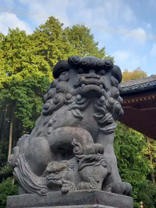山中八幡宮の狛犬