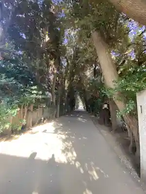 岩槻久伊豆神社(埼玉県)