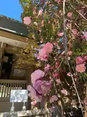東郷神社の庭園