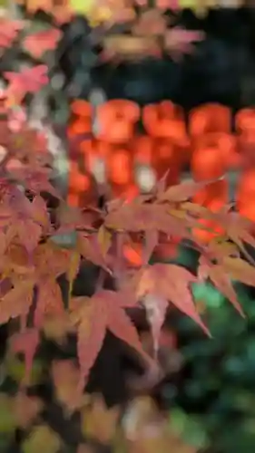 伏見神宝神社(京都府)