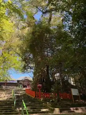 新田神社(鹿児島県)