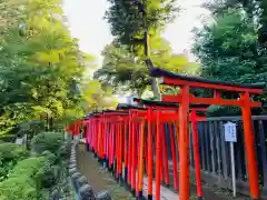 根津神社の鳥居