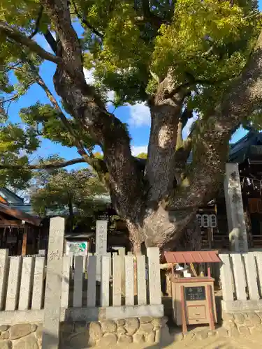 石切劔箭神社(大阪府)