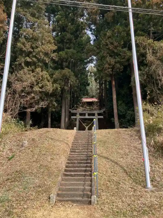 南和田星宮神社(磐裂神社)の{uncategorized: "未分類", other: "その他", undefined: "問題あり", building: "その他建物", grave: "お墓", sacred_gate: "鳥居", guardian: "狛犬", statue: "像", buddha: "仏像", history: "歴史", nature: "自然", garden: "庭園", animal: "動物", pagoda: "塔", temizu: "手水舎", mountain_gate: "山門・神門", sanctuary: "本殿・本堂", subordinate: "末社・摂社", art: "芸術", scenery: "景色", jizo: "地蔵", ema: "絵馬", goshuin: "御朱印", omikuji: "おみくじ", items: "授与品その他", amulet: "お守り", goshuincho: "御朱印帳", eats: "食事", festival: "お祭り", votive_dance: "神楽", shichigosan: "七五三参", wedding: "結婚式", experience: "体験その他", initially: "初詣", around: "周辺", anti_infection: "感染症対策"}
