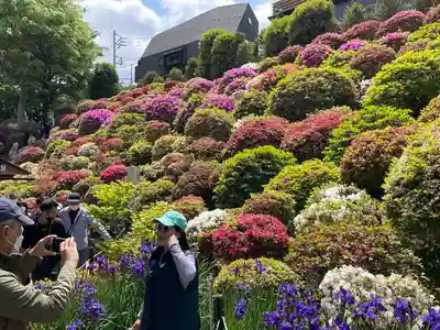 根津神社(東京都)