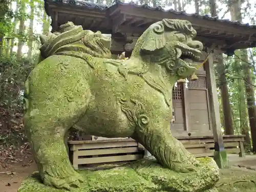 出雲神社の狛犬