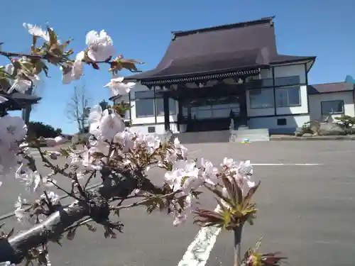 雨竜　専福寺(北海道)