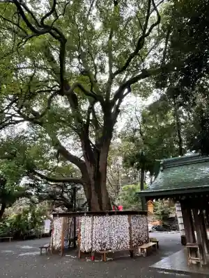 平塚八幡宮(神奈川県)
