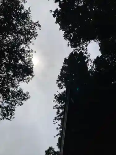 九頭龍神社(東京都)