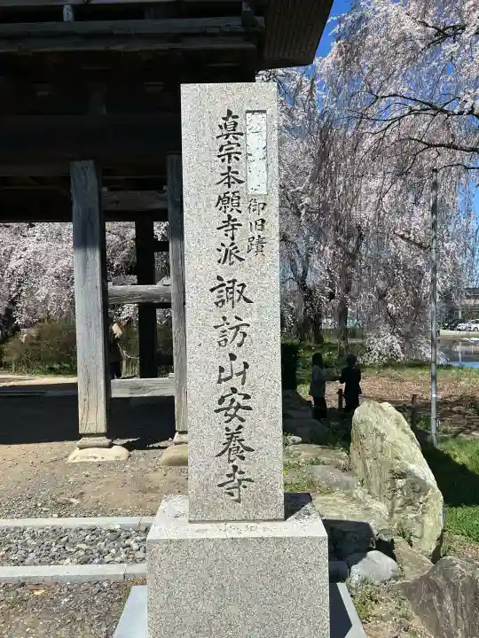 安養寺の{uncategorized: "未分類", other: "その他", undefined: "問題あり", building: "その他建物", grave: "お墓", sacred_gate: "鳥居", guardian: "狛犬", statue: "像", buddha: "仏像", history: "歴史", nature: "自然", garden: "庭園", animal: "動物", pagoda: "塔", temizu: "手水舎", mountain_gate: "山門・神門", sanctuary: "本殿・本堂", subordinate: "末社・摂社", art: "芸術", scenery: "景色", jizo: "地蔵", ema: "絵馬", goshuin: "御朱印", omikuji: "おみくじ", items: "授与品その他", amulet: "お守り", goshuincho: "御朱印帳", eats: "食事", festival: "お祭り", votive_dance: "神楽", shichigosan: "七五三参", wedding: "結婚式", experience: "体験その他", initially: "初詣", around: "周辺", anti_infection: "感染症対策"}