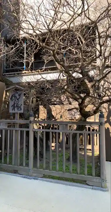 太宰府天満宮(福岡県)