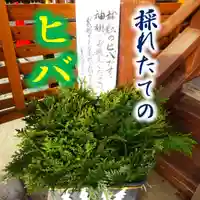 七重浜海津見神社(北海道)