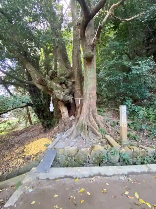 石清水八幡宮の自然
