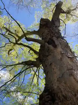 新海三社神社(長野県)
