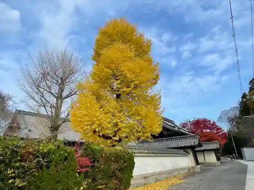 本誓寺(東本誓寺)の建物その他