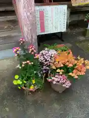 千代ケ岡八幡宮(栃木県)